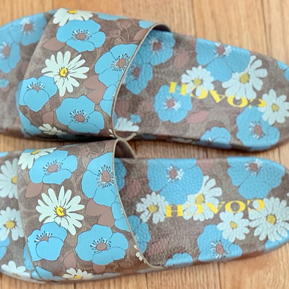 Coach Blue and Brown Casual Sandals - Picture 3 of 5
